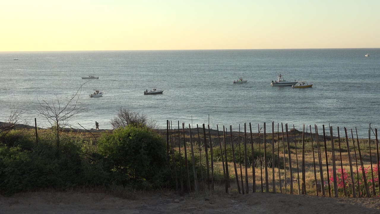 Fishing boats on a lake beyond a low shoreline fence.