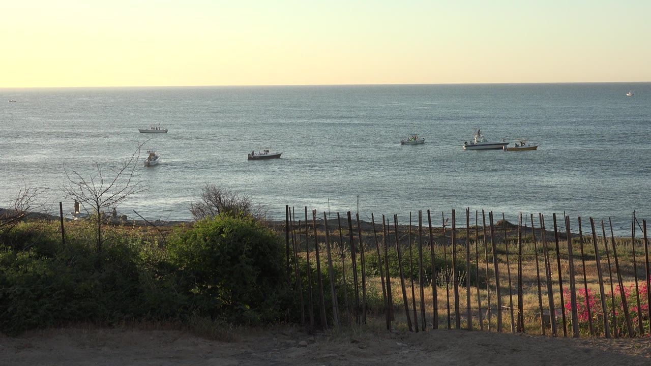 Ocean horizon with fishing boats beyond a wooden beach fence.