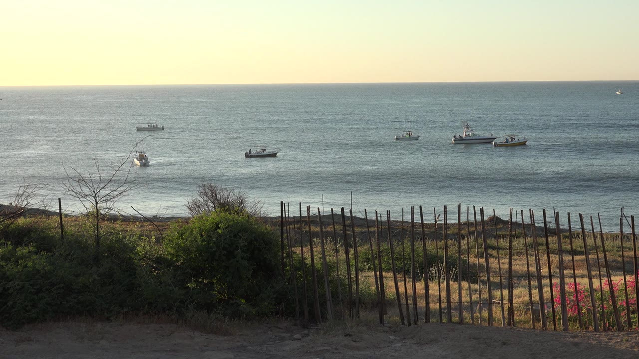 Small boats offshore seen over beach brush and a fence