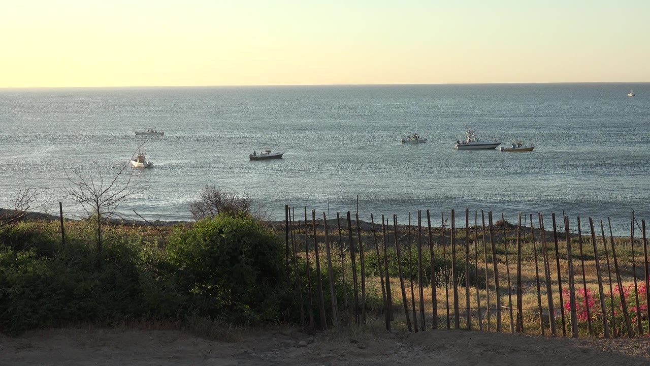 At 0:01, the Grand Junction, Colorado frame holds on boats spaced across the water while dune vegetation and upright fence posts fill the lower foreground, with no clearly visible people.