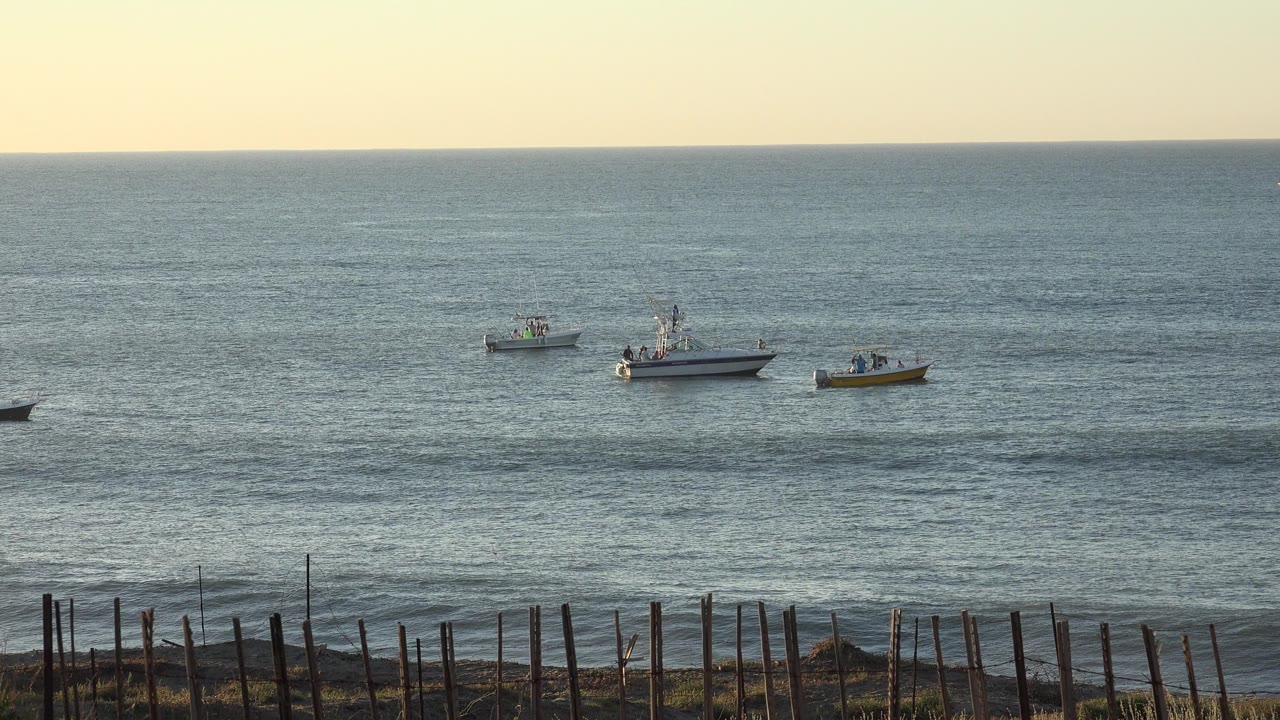 Small boats offshore beyond fence posts and beach grass