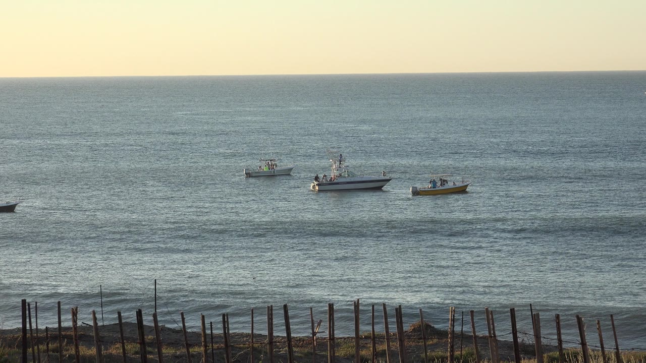 At 0:01, the boats remain spaced across the midground water while the fence line runs along the lower edge of the Grand Junction, Colorado frame.