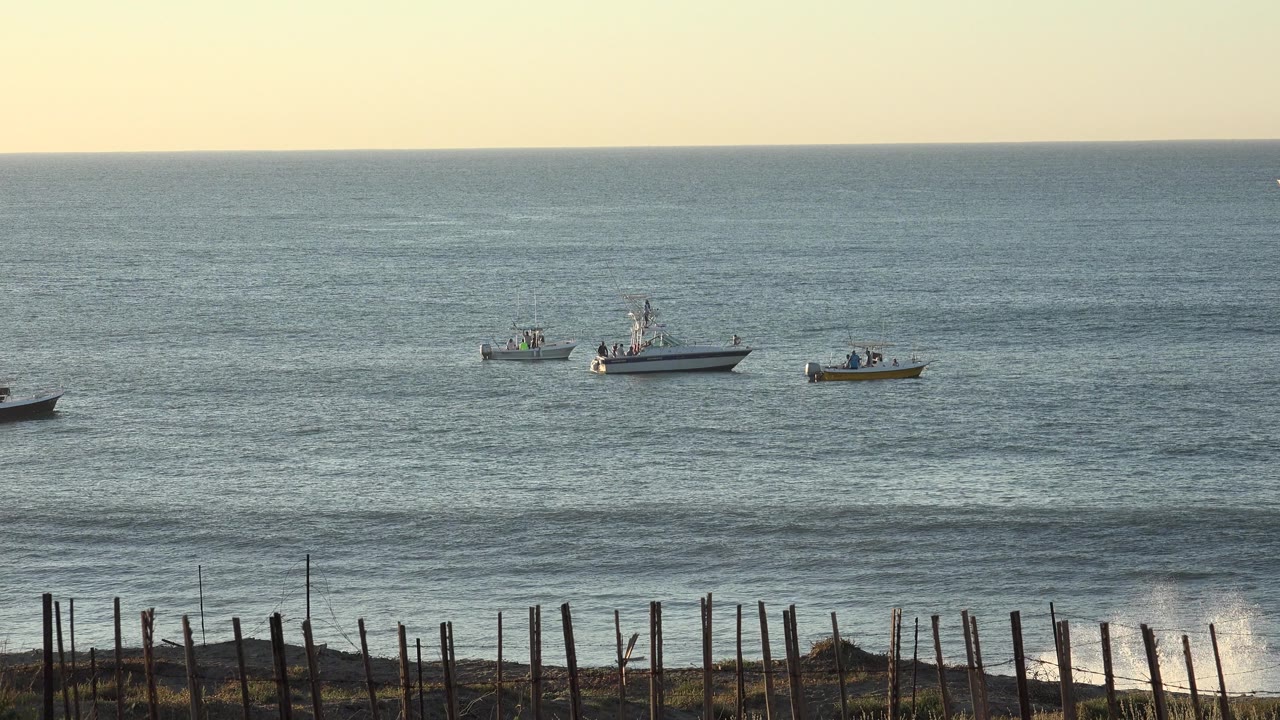 Small boats offshore beyond a fence and breaking shoreline waves.