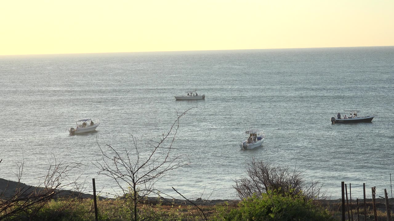 Small boats on open water with shoreline brush in the foreground.