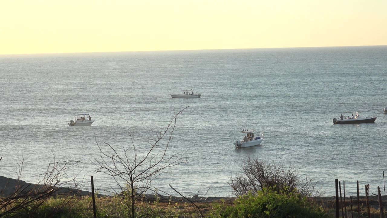 Small boats on open water viewed past shoreline brush and fence posts.