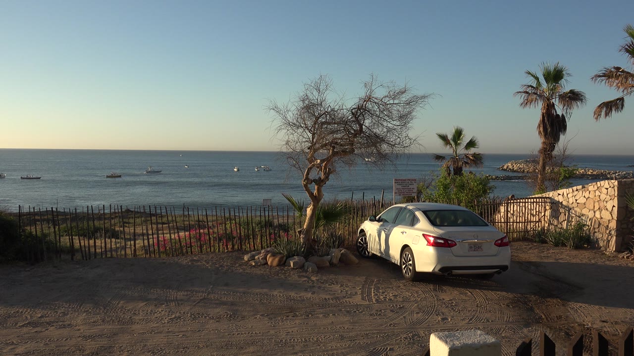 White sedan parked near an ocean overlook with boats and palm trees.