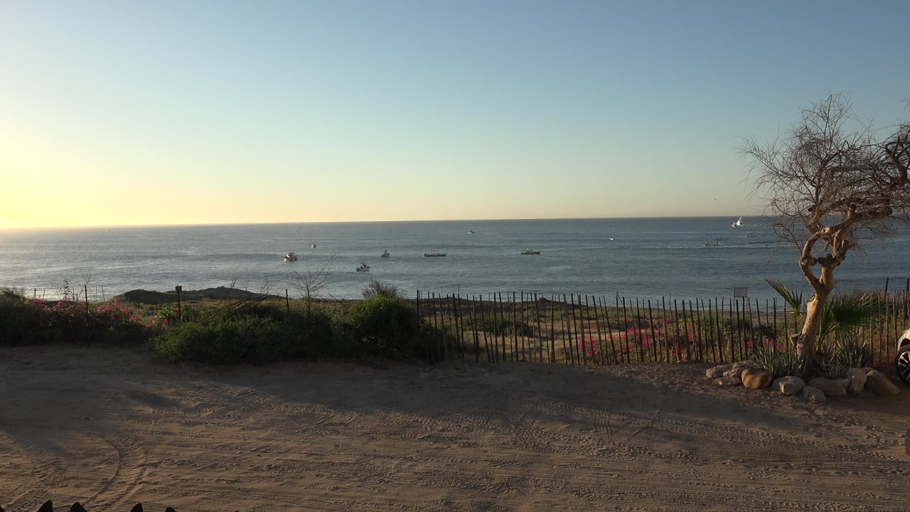 Waterfront frame from the Grand Junction Colorado 2017 clip showing the horizon slightly brighter at left, boats sitting offshore, a low fence through the midground, the bare tree on the right edge, and no visible people.