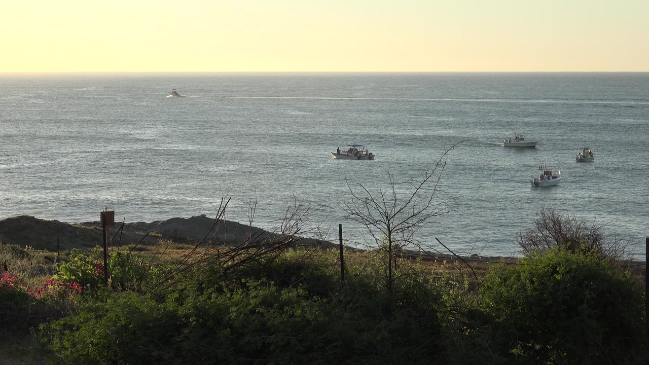 Small boats on sunlit water beyond dark foreground brush.