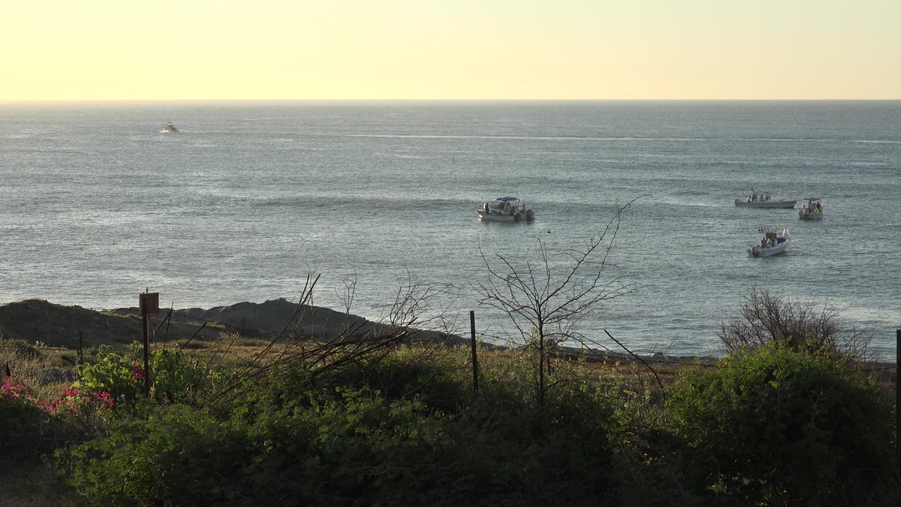 Cataloged as Grand Junction, Colorado, this opening frame shows foreground shrubs and fence posts above rippled coastal water with several small boats offshore and no visible people.