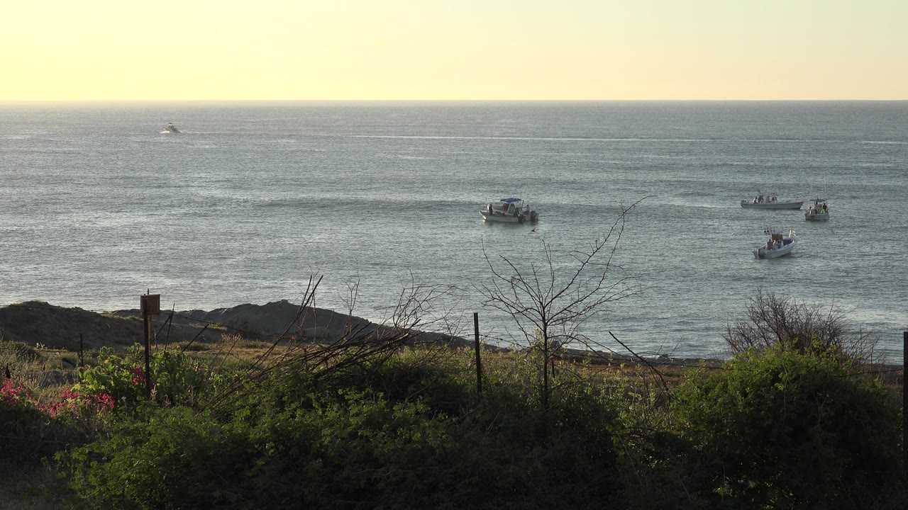 At 0:01, the view remains on the same coastal water scene, with brush in shadow at the bottom, a boat cluster near center, two smaller boats to the right, and no visible people.