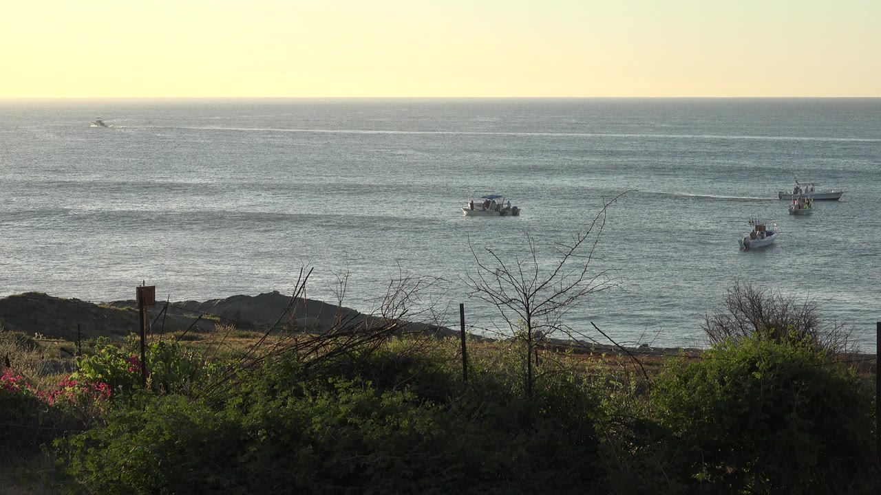 Distant boats on open water beyond shoreline shrubs.