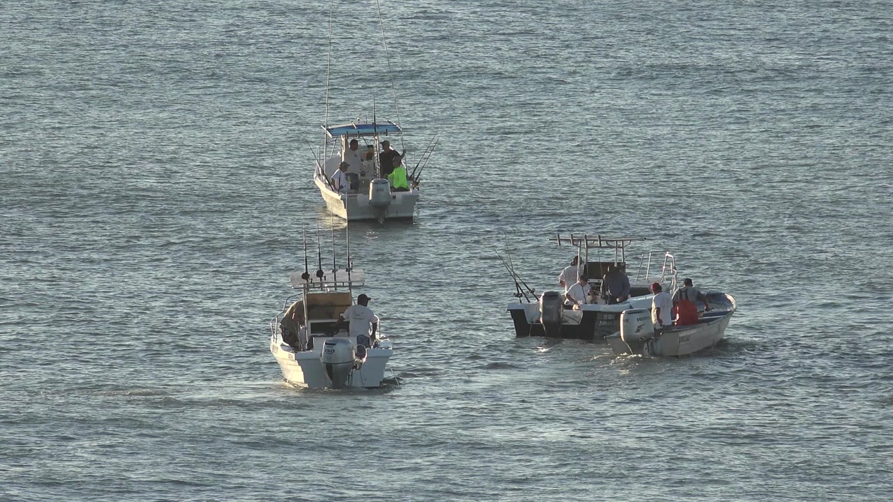 Small motor yachts with passengers on rippled open water.