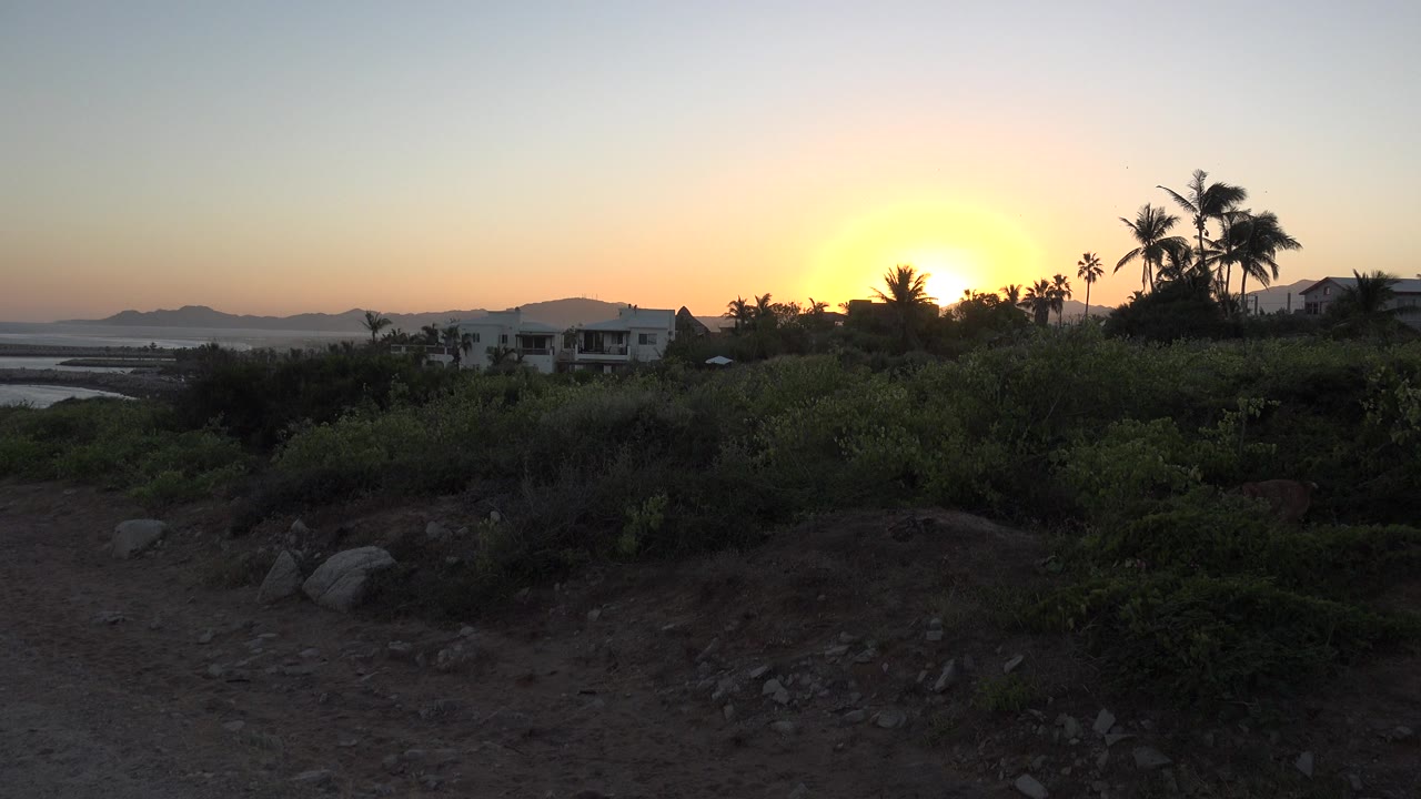 Second frame shows the low sun glowing behind tree silhouettes in Grand Junction, Colorado, with brush and rocks in the foreground, a house in the midground, and no visible people.