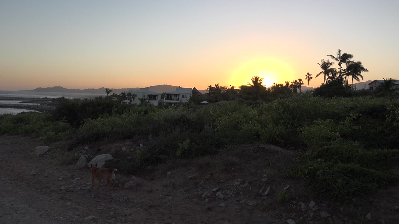 Grand Junction, Colorado shoreline at sunset with dark rocky ground, green shrubs, water at left, distant hills, white houses, silhouetted trees, and tiny distant people near the lower edge.