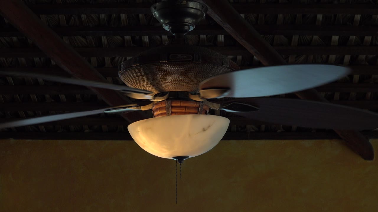 Ceiling fan with light under dark roof rafters