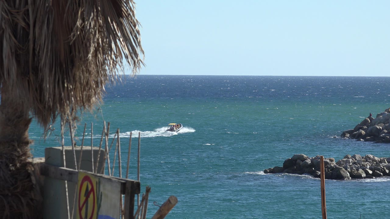 Opening frame from the Grand Junction, Colorado clip shows a small motorboat leaving a wake on blue water, with palm fronds and a partial fence or sign in the foreground and no visible people.
