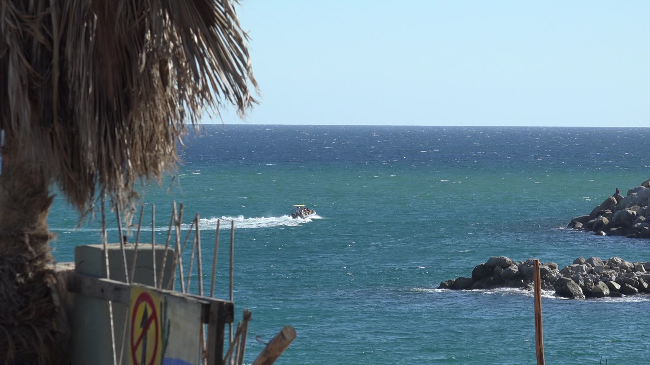 Boat and wake on open sea with dark rock jetty at right and palm foreground at left.