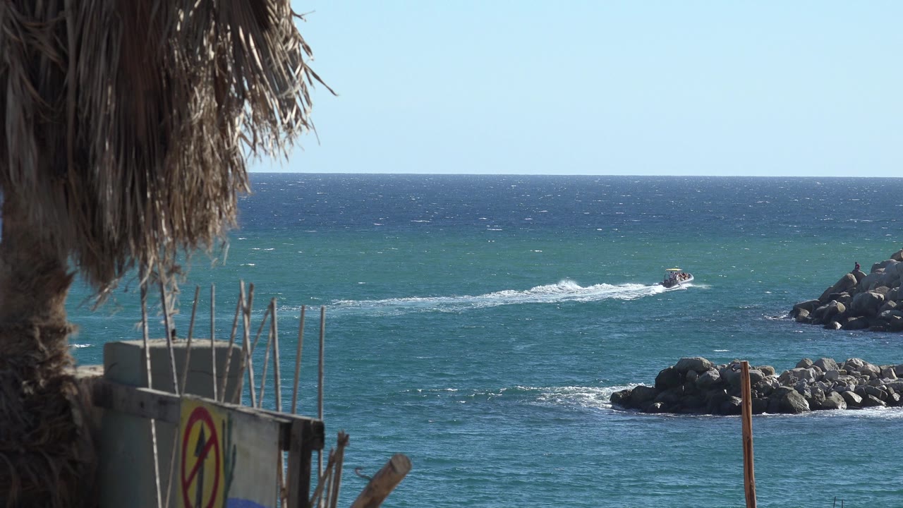 Palm fronds frame blue water with a small boat near rocky breakwater.