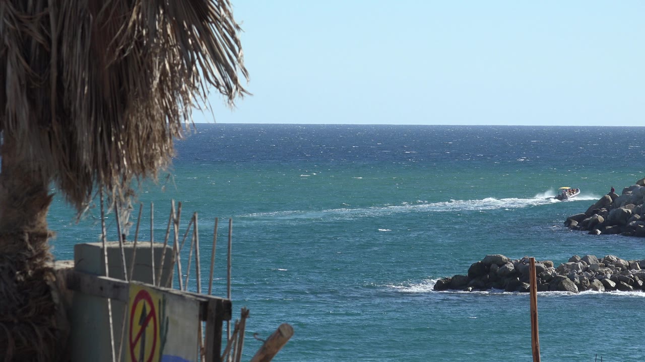 Blue water, palm trunk, foreground sign, and rocky breakwater.
