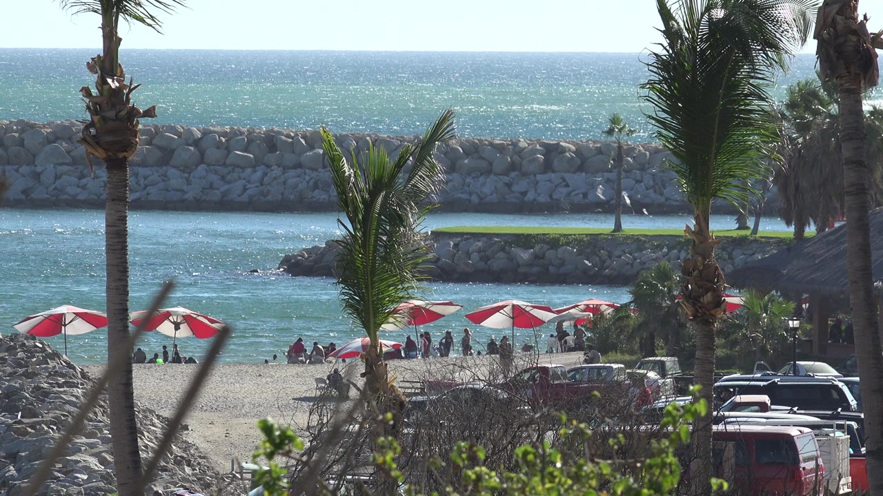 Beach umbrellas, palm trees, people, parked cars, water, and a rock breakwater.