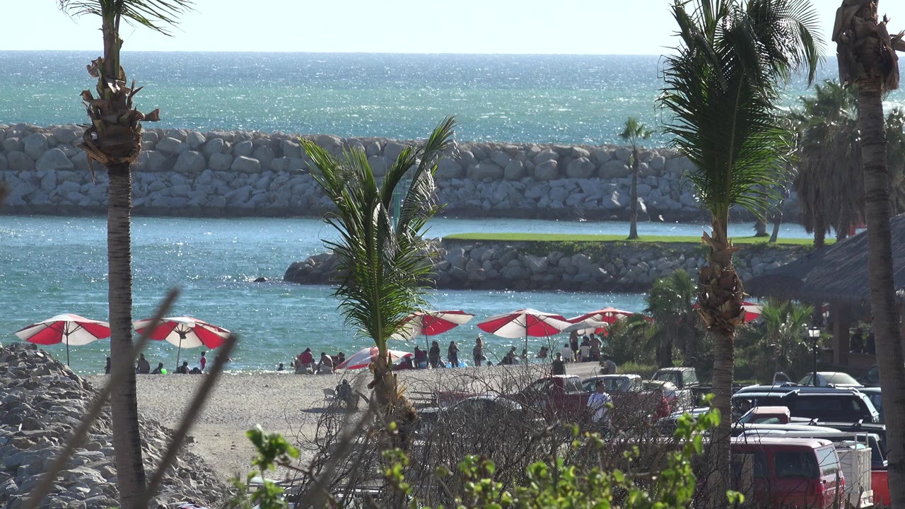 At 0:01 in Grand Junction, Colorado, palm fronds partly cover the beach while red and white umbrellas, tiny visitors, blue water, and a long rock barrier remain visible.