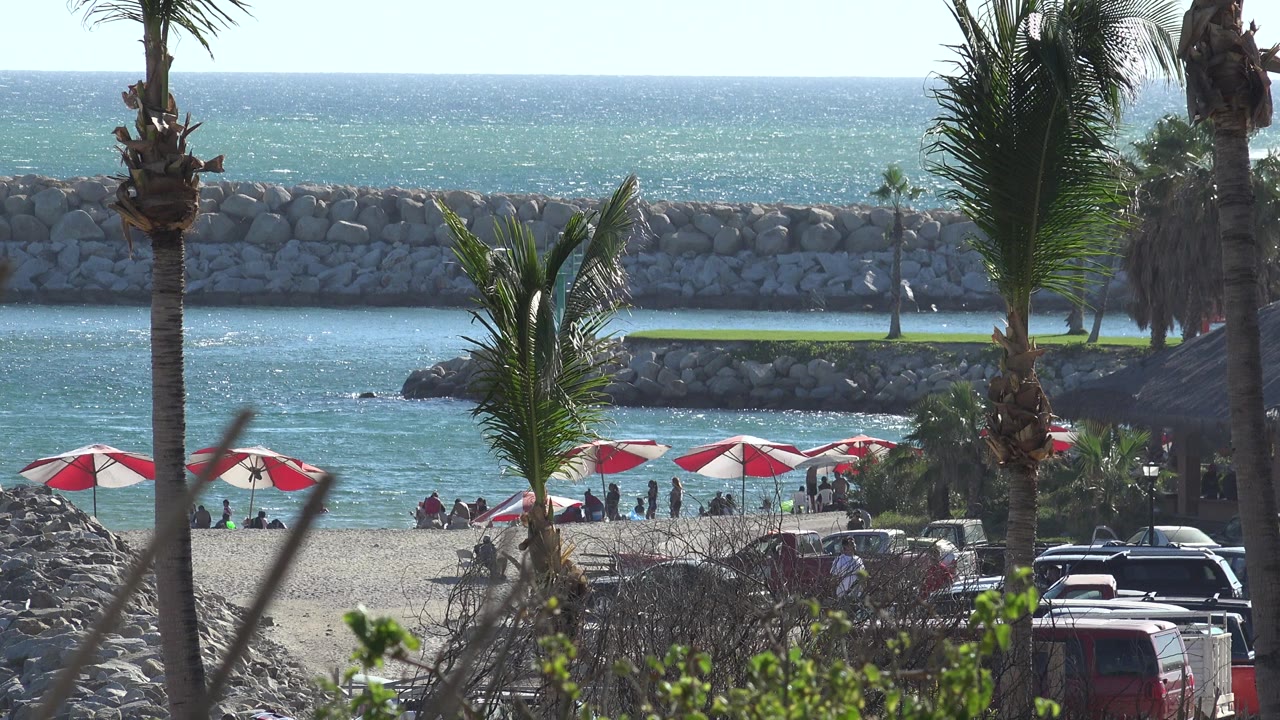 Palm trees overlooking a beach with umbrellas, water, rocks, and distant people.