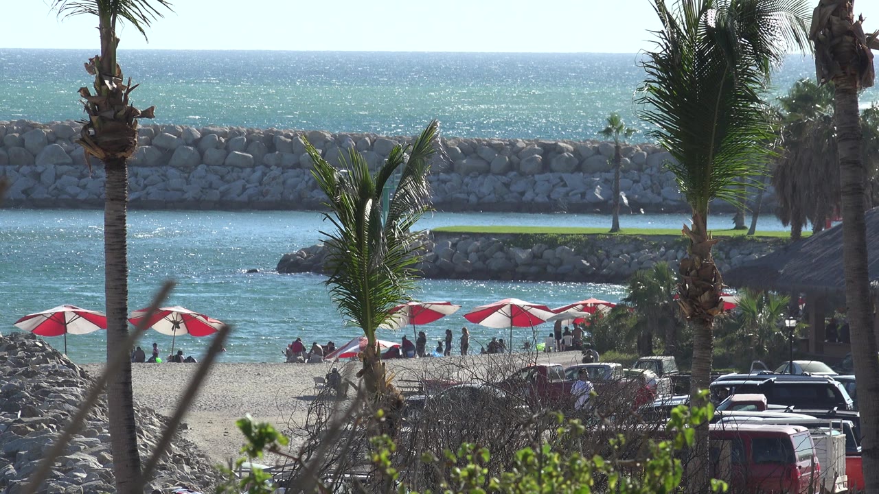 At 0:01, the Grand Junction, Colorado beach scene keeps the palms prominent while the umbrellas, shoreline, parked vehicles, and rock barriers remain visible behind them.