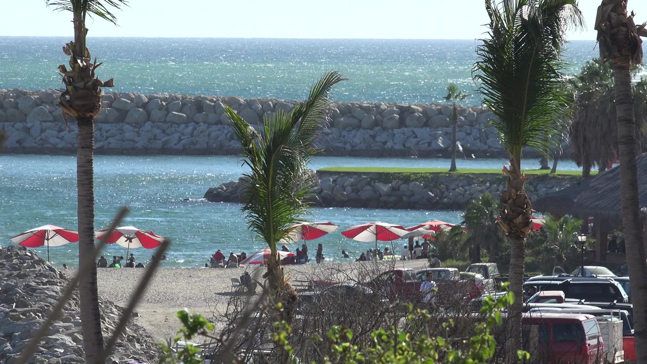 At 0:01, the same Grand Junction, Colorado shoreline is framed by palms, with beachgoers under red and white umbrellas and vehicles partly visible near the lower right.