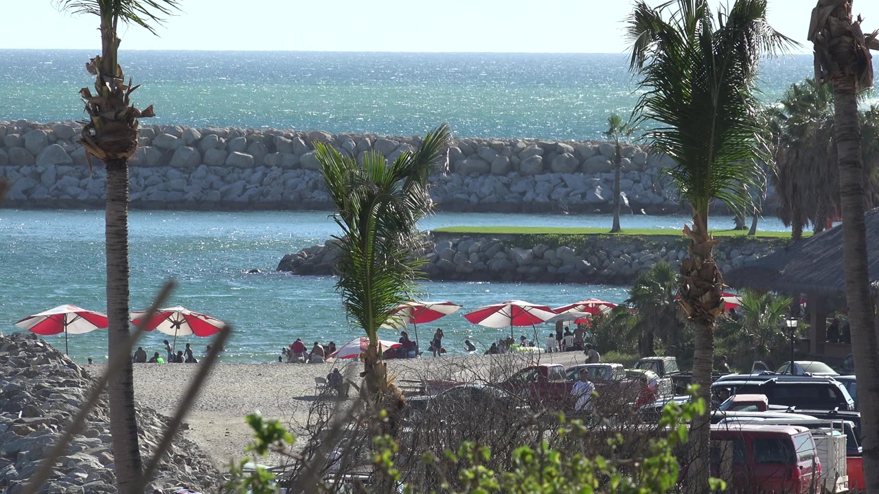 Sunny beach with palms, umbrellas, people on sand, and breakwater rocks.