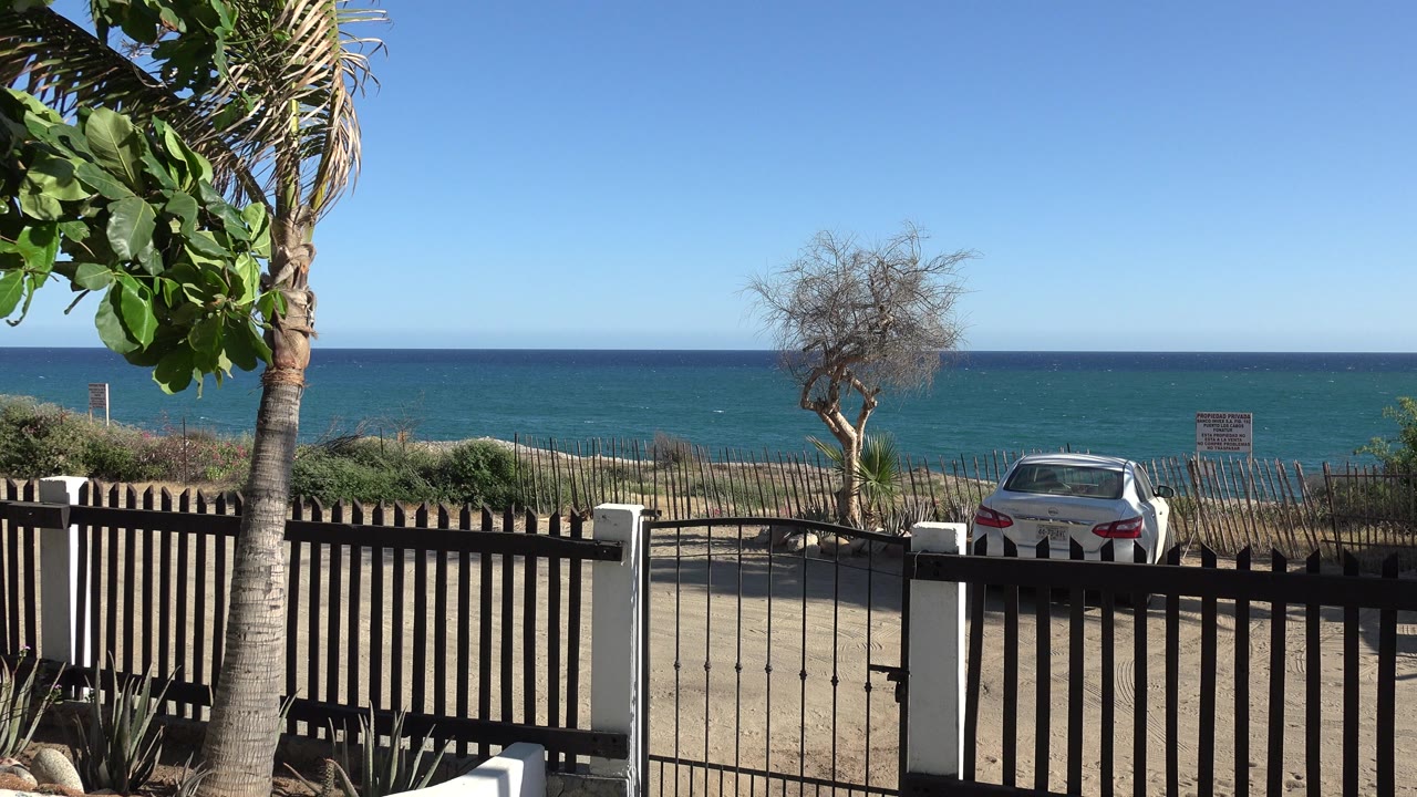 Beach access view with fence, palm trunk, parked car, blue sea, and clear sky.