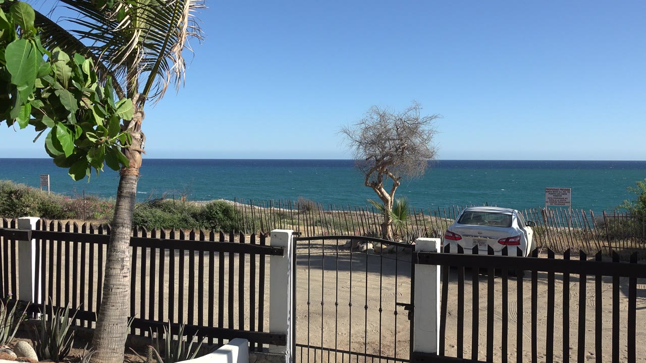 Opening frame of the Grand Junction, Colorado 2017 clip shows a palm trunk at left, dark fence in front, white parked car near the water, blue ocean horizon, and no visible people.