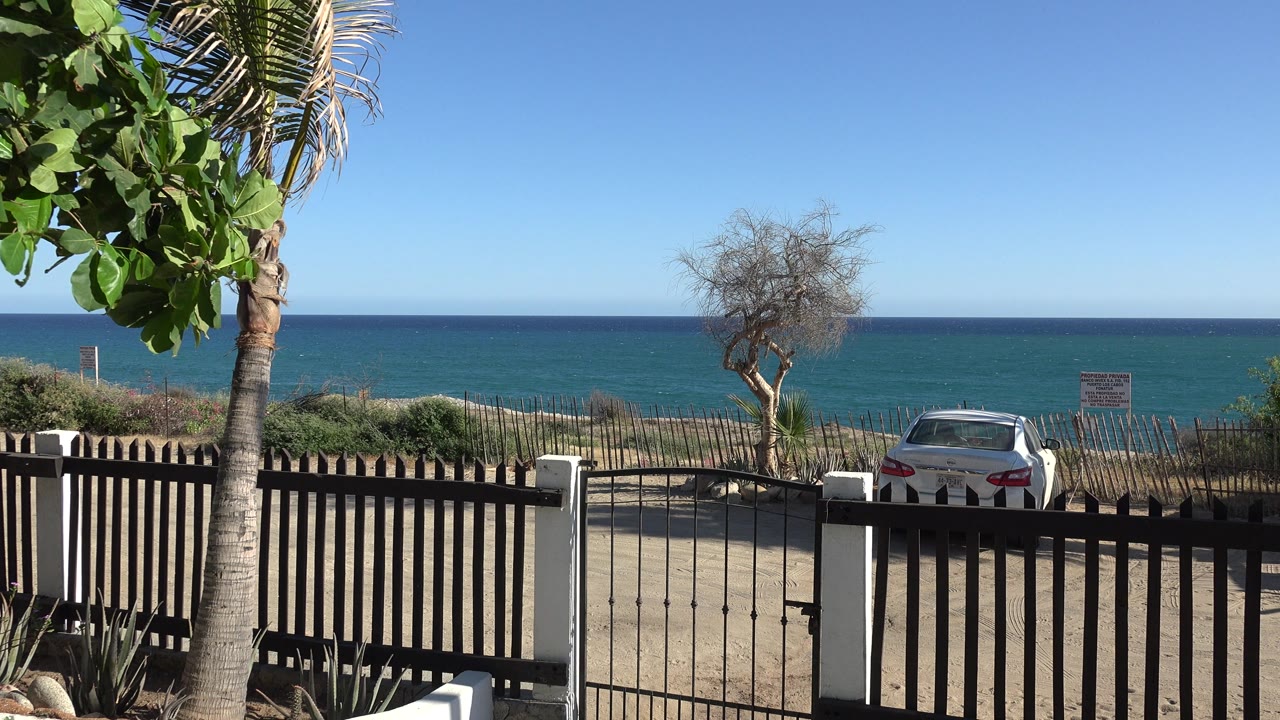 Fenced driveway with palm tree, parked car, and blue ocean