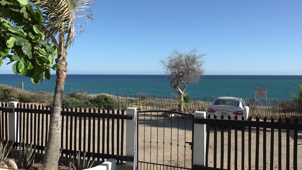 Wooden fence, palm tree, parked car, and ocean beyond beach grass.