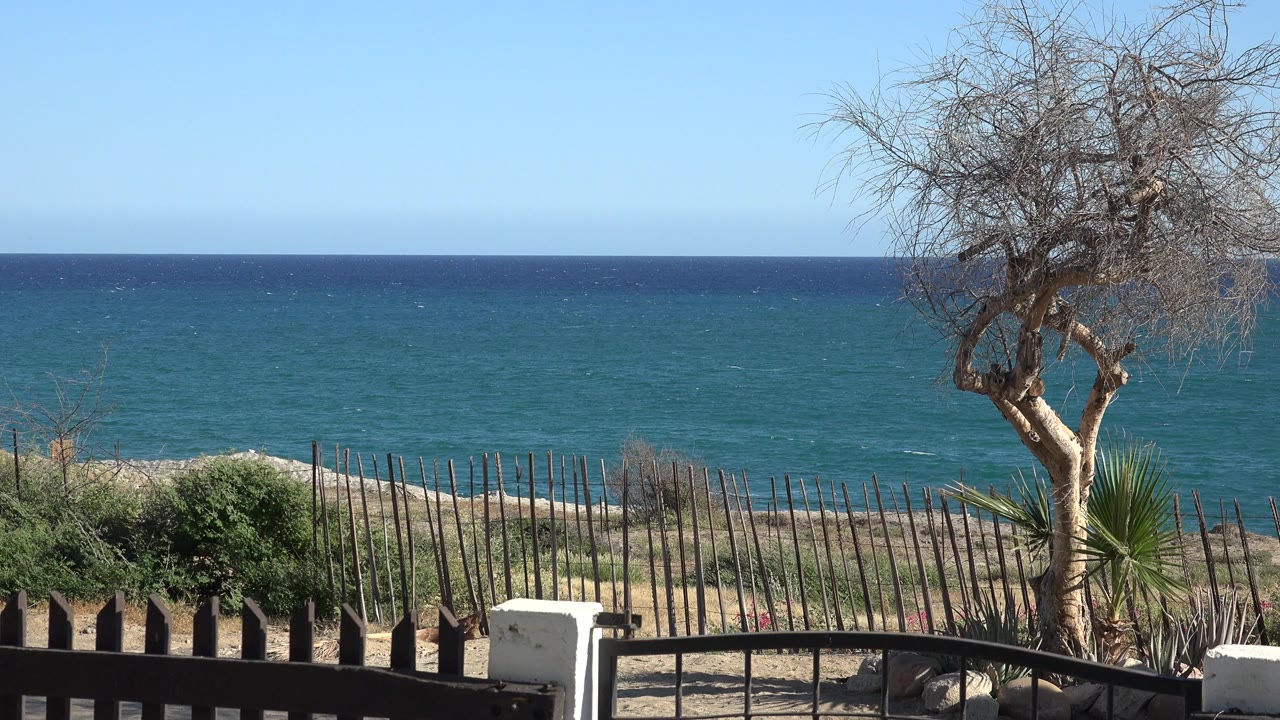 Opening frame of the Grand Junction, Colorado 2017 clip showing blue sea, pale sky, a dark fence, scrub, and a bare tree at right with no visible people.