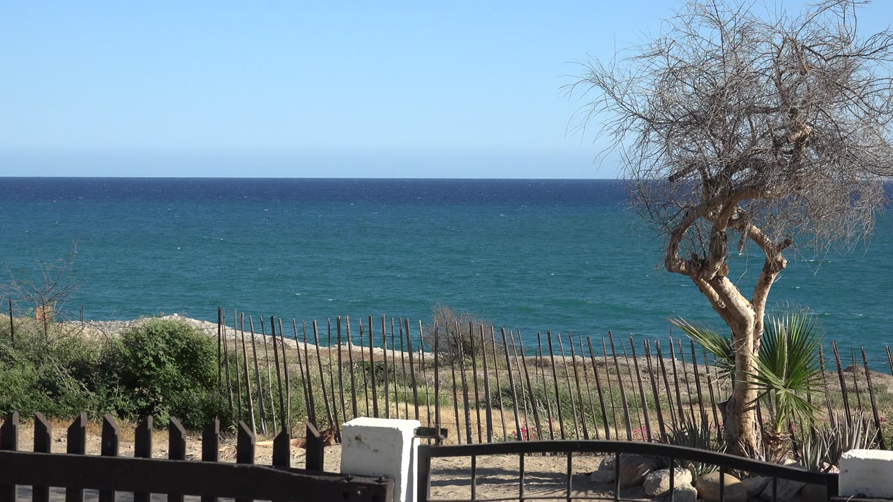 At 0:00, a Grand Junction, Colorado beach view shows blue water, a clear sky, scrubby foreground plants, a rough fence, and a leafless tree at right with no visible people.