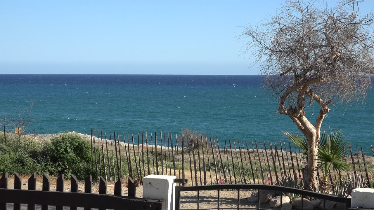 At 0:00, a Grand Junction Colorado 2017 frame shows a dark fence, white post, sandy yard, bare tree at right, turquoise ocean, blue sky, and no visible people.