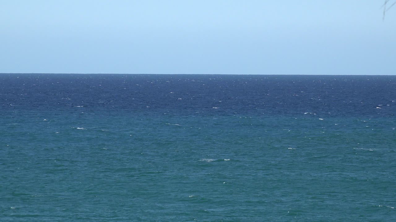 Blue-green waves beneath a pale blue sky