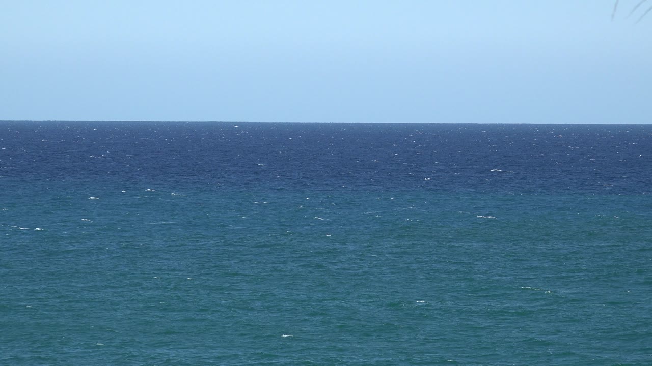 Wind-textured blue water with white flecks below clear sky.