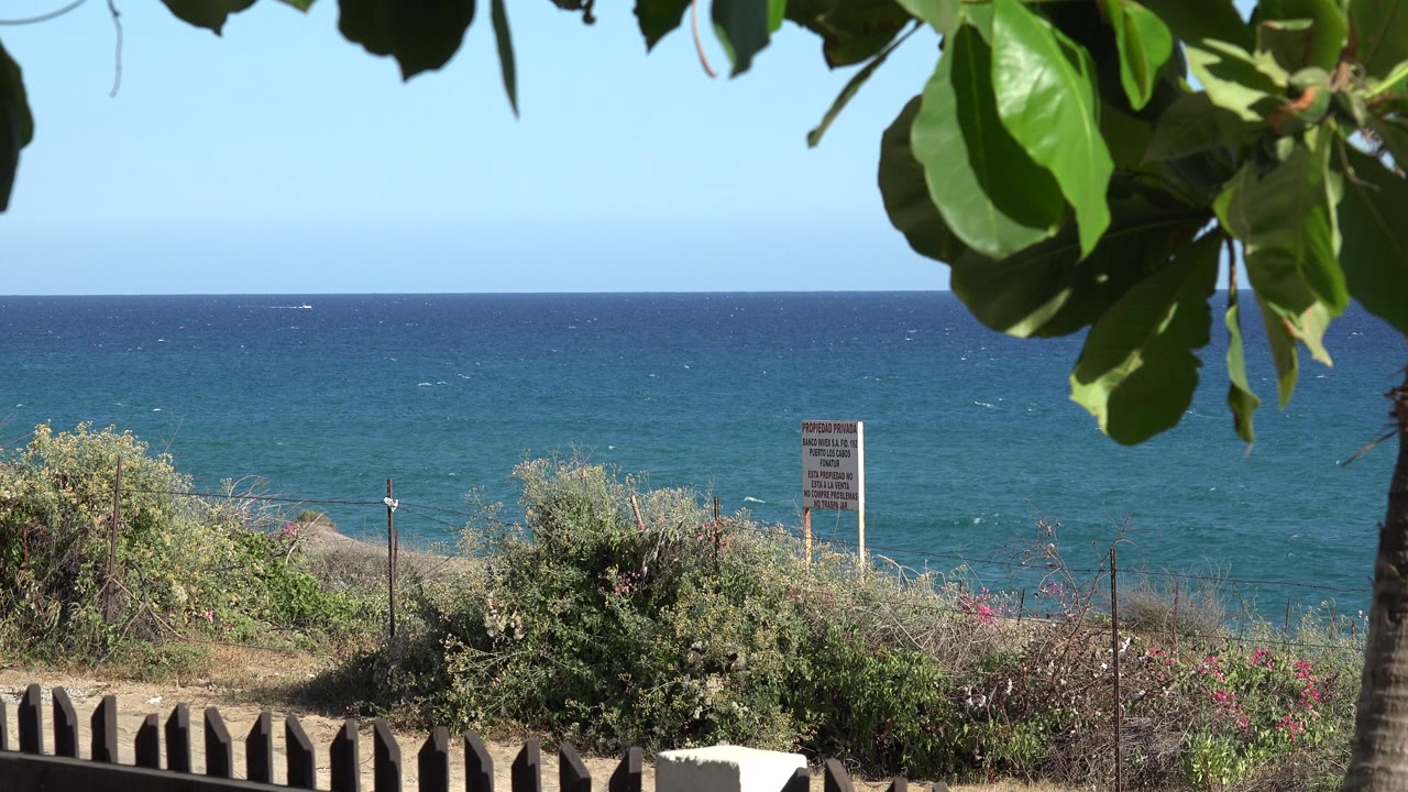 Opening frame of the Grand Junction, Colorado clip shows blue ocean water beyond dry shrubs, a small sign near the right side, a low fence at the bottom, glossy leaves overhead, and no visible people.