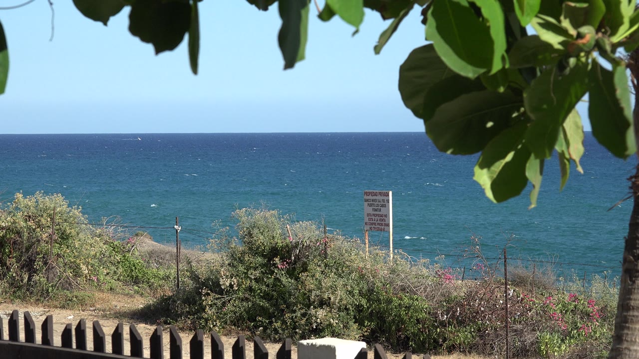 Sunlit shrubs and sign before blue ocean with leafy branches overhead.