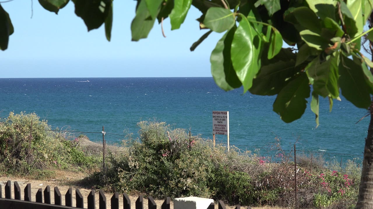 Shoreline view with green leaves, fence, sign, shrubs, and blue water.