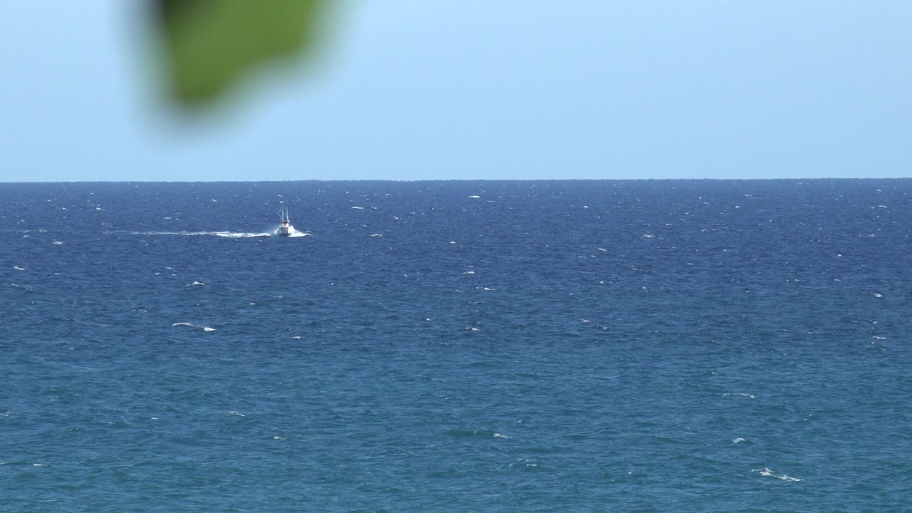 Wide blue water and pale sky from the Grand Junction Colorado 2017 clip, with several small boats on the horizon, blurred green leaves along the top edge, and no visible people.
