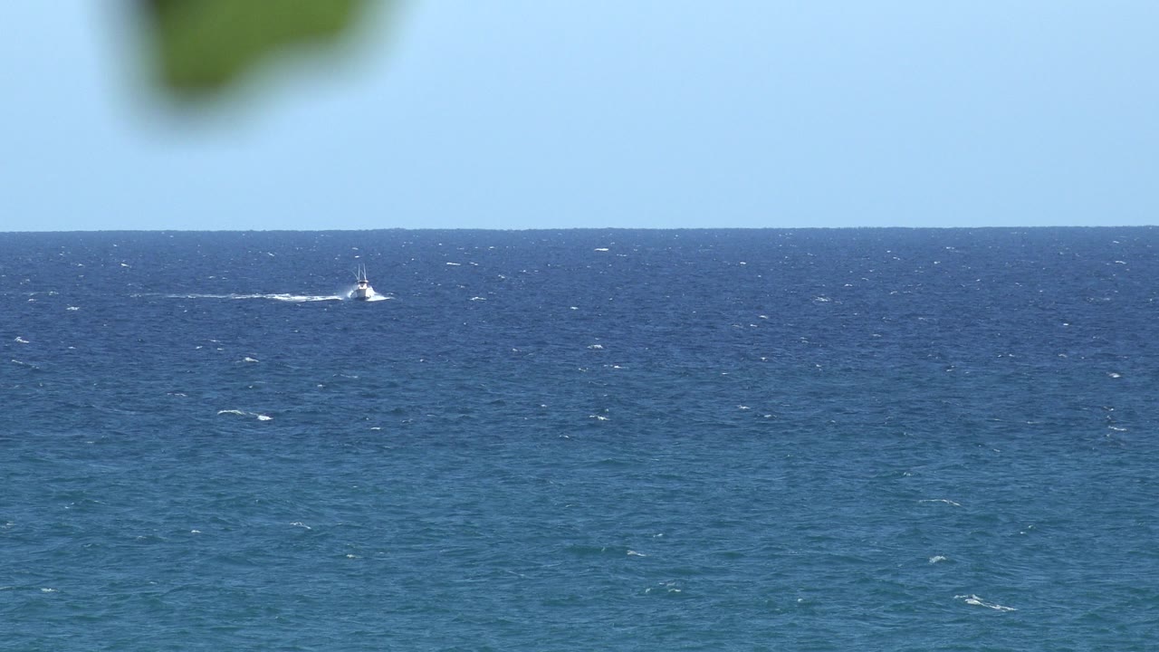 Open blue sea fills the frame in the Grand Junction Colorado 2017 clip, with small white boats spaced across the far horizon and no visible people.