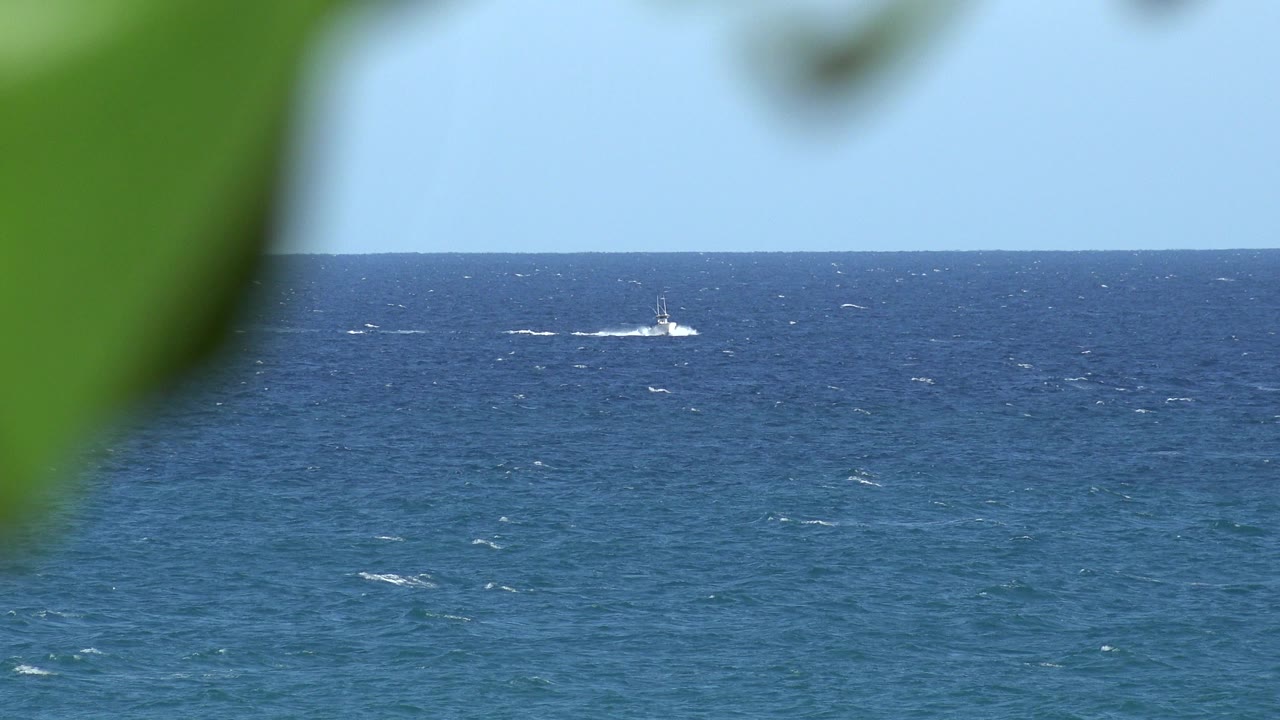 A distant boat crosses blue open water near Grand Junction, Colorado, with blurred green leaves hanging across the top of the frame and no visible people.