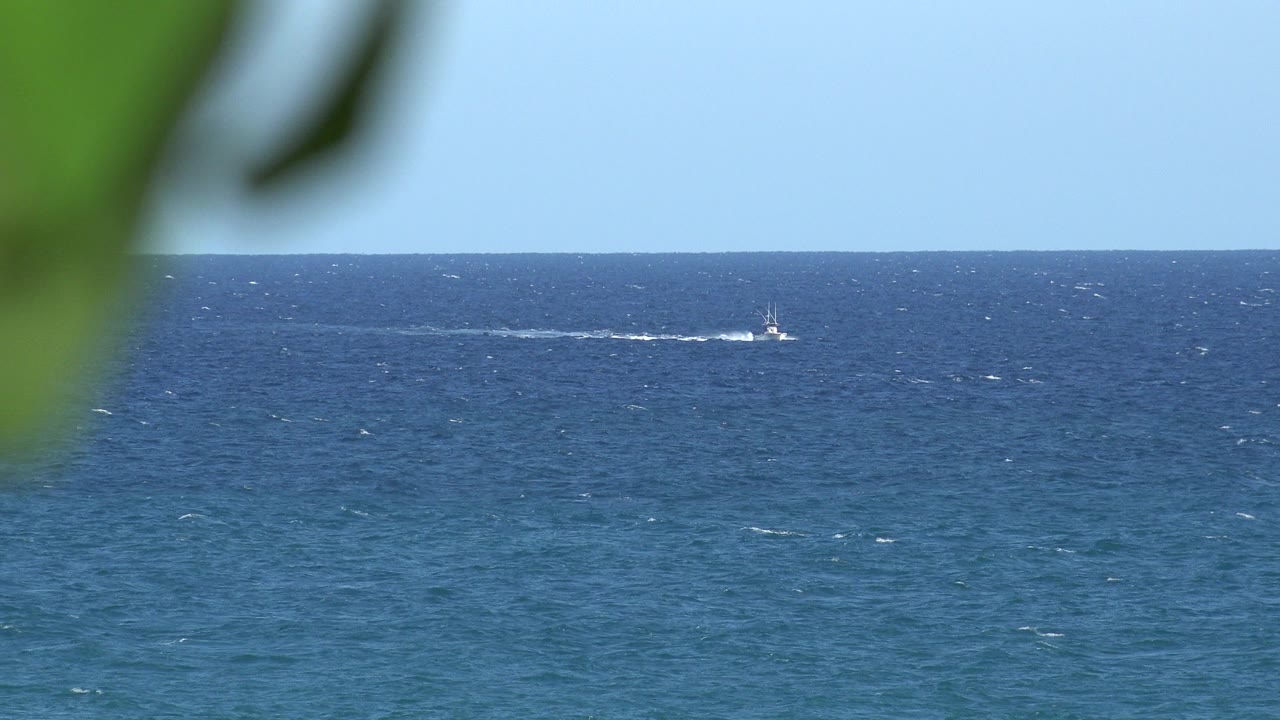 Opening frame of the Grand Junction Colorado 2017 clip showing a small distant boat on blue ocean, a pale sky, blurred green leaves along the top edge, and no visible people.