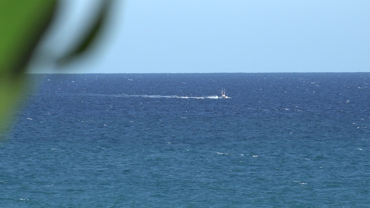 Second frame shows the small boat farther along the horizon line on blue water, with soft green leaves at the top and no visible people.