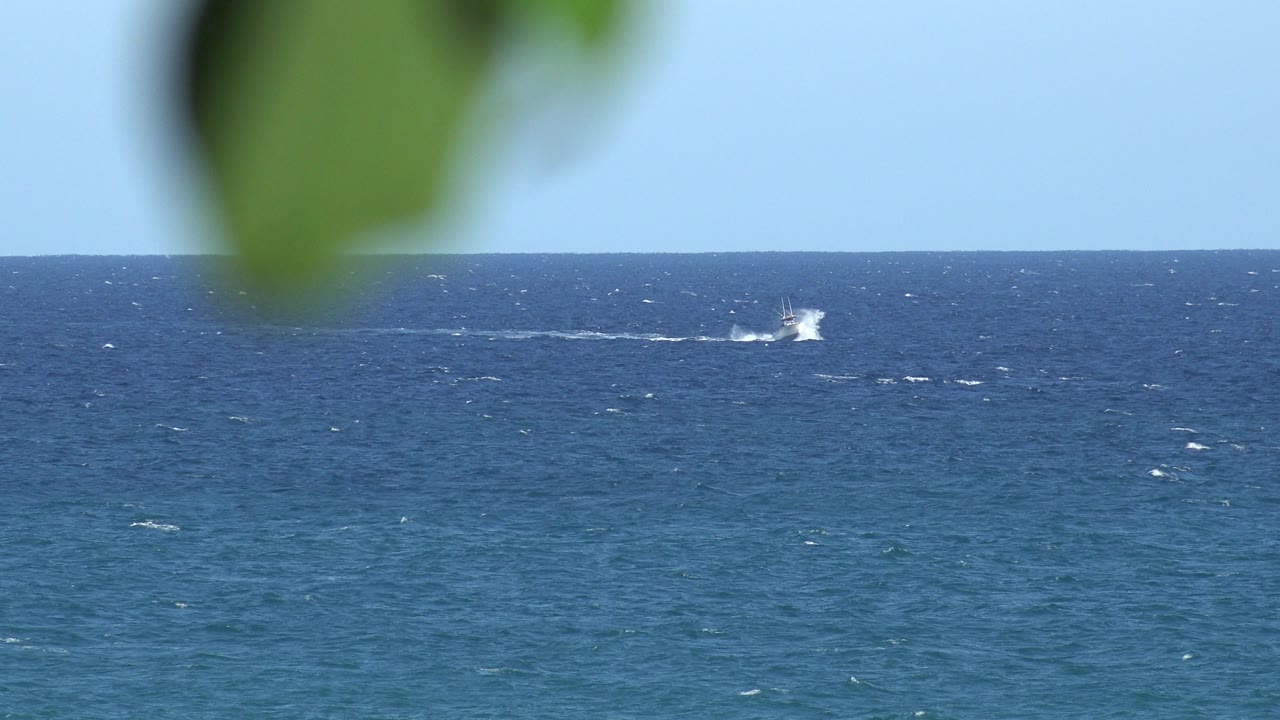 Distant boat wake on open blue water with leaves at the top.