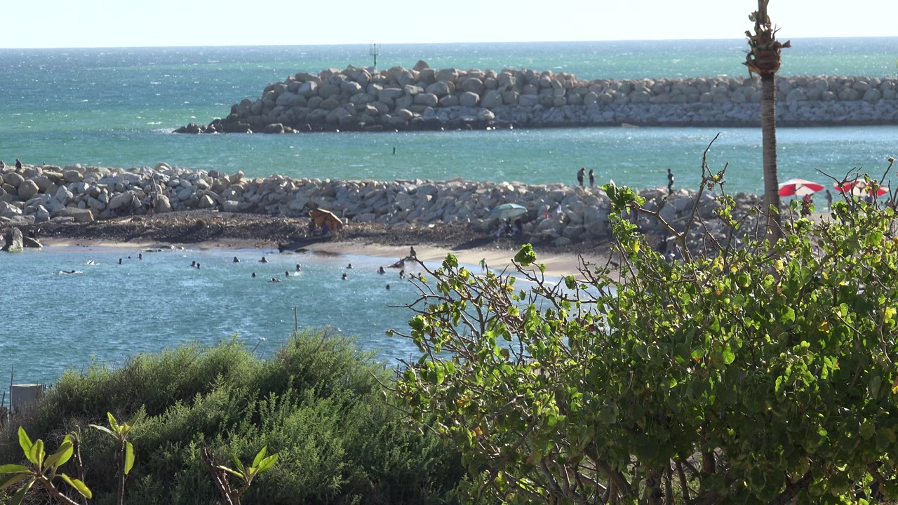 Grand Junction, Colorado beach view with blue water, distant swimmers near the sand, foreground greenery, and a rocky breakwater across the background.
