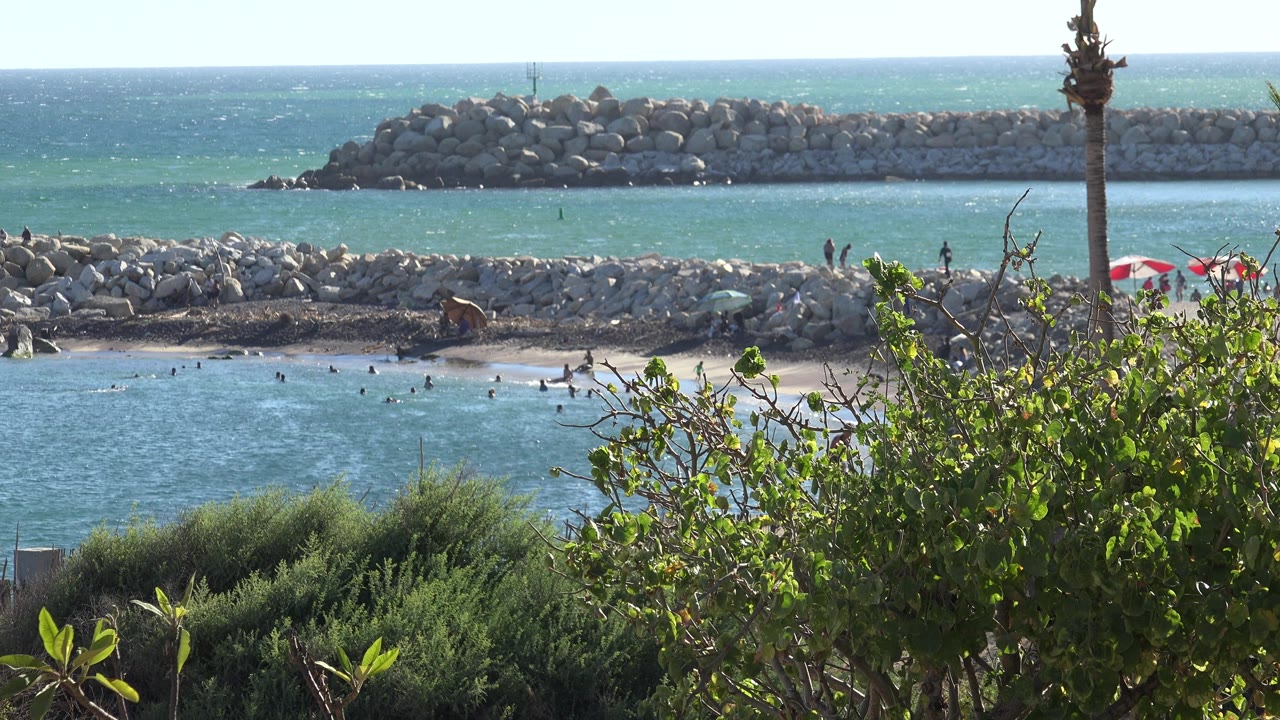 Sunny shoreline with swimmers and rocks seen through greenery.
