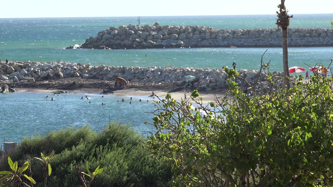 Distant swimmers near a rocky shoreline with foreground shrubs and a red and white umbrella.